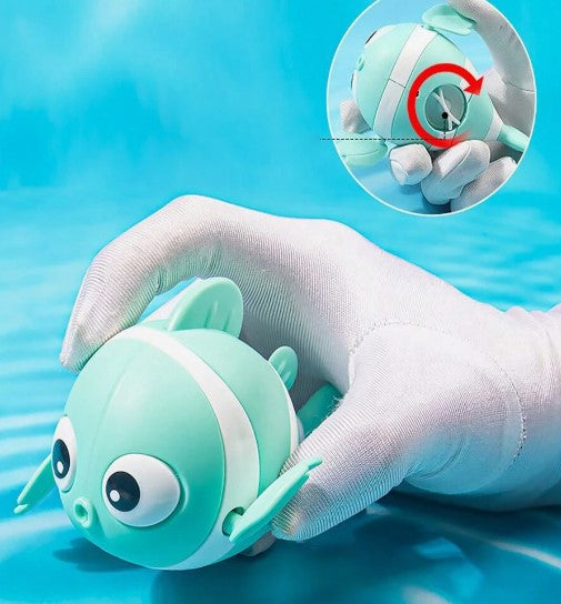 Peces Acuáticos para el Baño