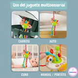 Juguetes Didácticos Premium para Bebés
