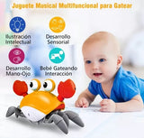 Cangrejo musical con luces y sensor