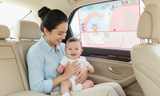 Cortinas Sombreadoras Para Auto Verano