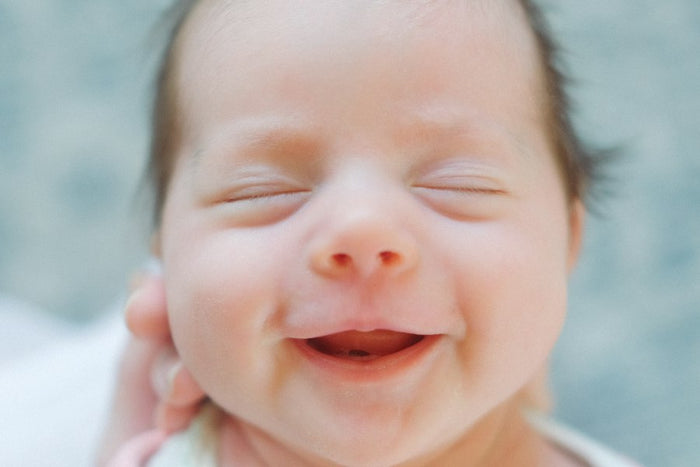 0 a 6 meses
